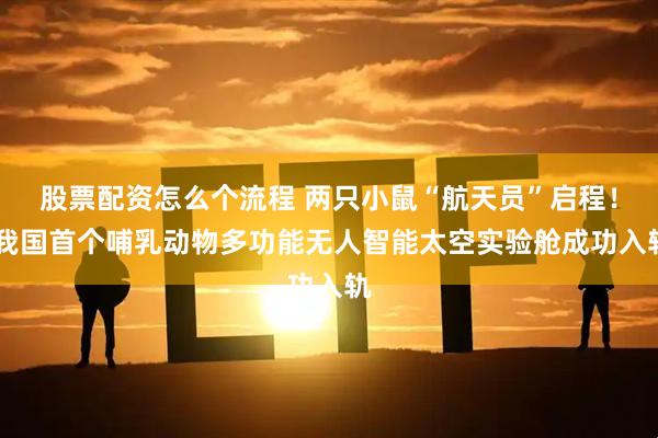 股票配资怎么个流程 两只小鼠“航天员”启程！ 我国首个哺乳动物多功能无人智能太空实验舱成功入轨